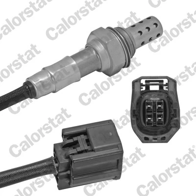 Oxygen Sensor